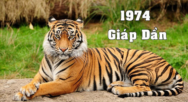tuoi_giap_dan_lam_nha_nam_2025