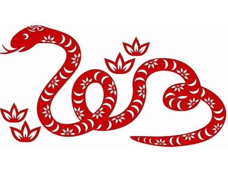 nam-2025-la-tuoi-con-gi
