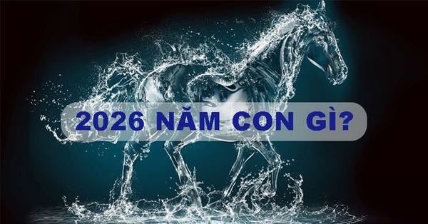 Năm 2026 là năm con gì
